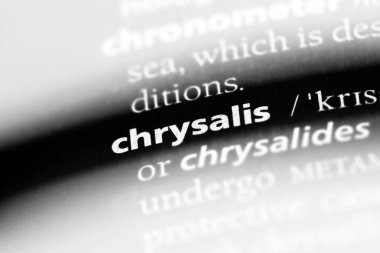 Chrysalis Word'de bir sözlük. Chrysalis kavramı