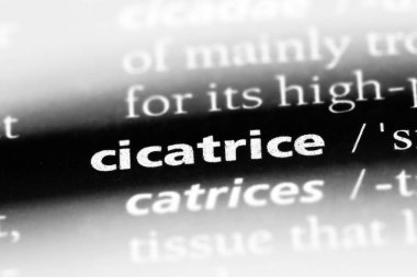 Sözlükteki cicatrice kelimesi. cicatrice kavramı