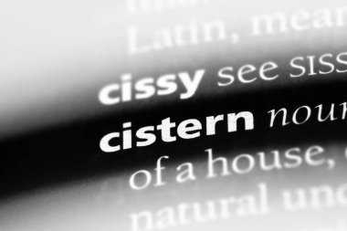 Sarnıç Word'de bir sözlük. Sarnıç kavramı