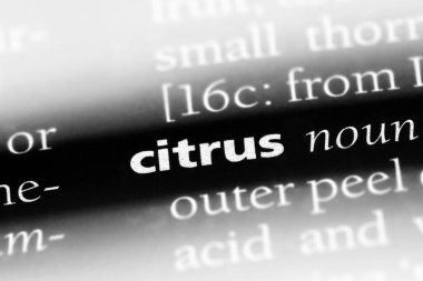 Narenciye tek kelimeyle bir sözlük. Narenciye kavramı