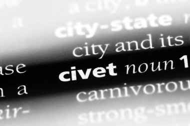 misk kedisi Word'de bir sözlük. misk kedisi kavramı