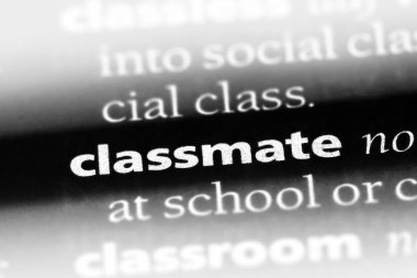 sınıf arkadaşı bir sözlük tek kelimeyle. sınıf arkadaşı kavramı