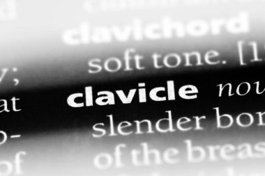 Köprücük Word'de bir sözlük. Köprücük kavramı