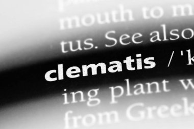 akasma Word'de bir sözlük. akasma kavramı