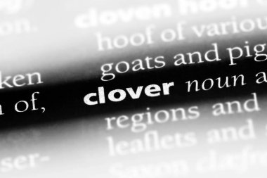 yonca Word'de bir sözlük. yonca kavramı