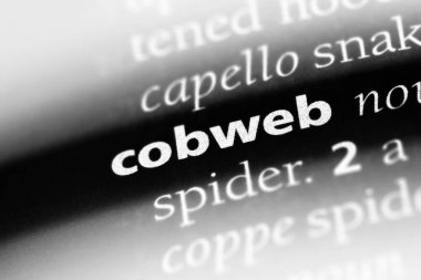 bir sözlüğü'ndeki sözcüğü örümcek ağı. örümcek ağı kavramı