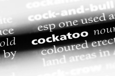 Kakadu Word'de bir sözlük. Kakadu kavramı