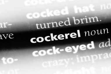 horoz Word'de bir sözlük. horoz kavramı