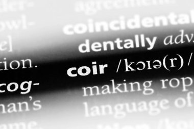 Hindistan cevizi Word'de bir sözlük. Hindistan cevizi kavramı