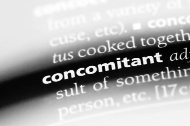 eşlik eden tek kelimeyle bir sözlük. eşlik eden konsept