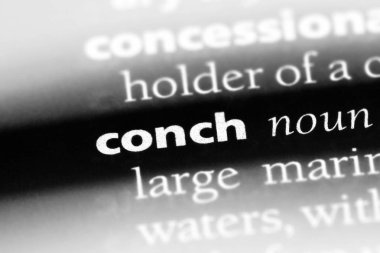 kabuklu Word'de bir sözlük. kabuklu kavramı