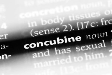 cariye Word'de bir sözlük. cariye kavramı