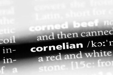 akik Word'de bir sözlük. akik kavramı