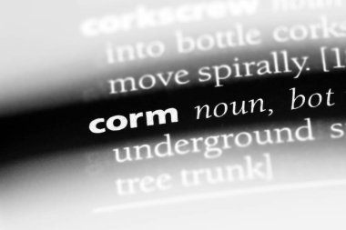 Soğanların Word'de bir sözlük. Soğanların kavramı