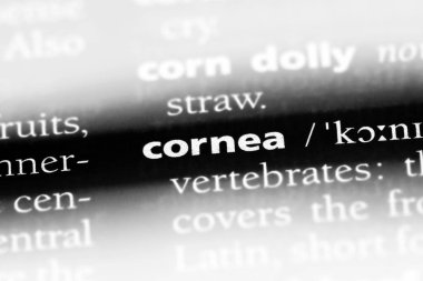 kornea Word'de bir sözlük. kornea kavramı