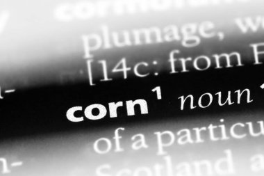 bir sözlüğü'ndeki Mısır sözcüğü. Mısır kavramı