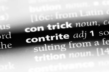 bir sözlüğü'ndeki nedamet sözcüğü. nedamet kavramı