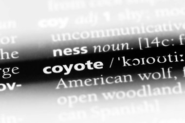 çakal Word'de bir sözlük. çakal kavramı