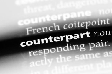 bir sözlüğü'ndeki meslektaşı sözcüğü. muadili kavramı