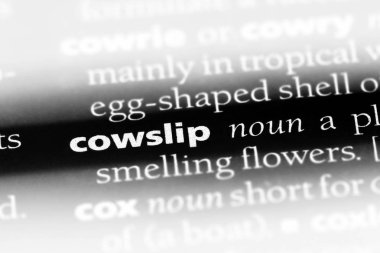 çiçeği Word'de bir sözlük. çiçeği kavramı