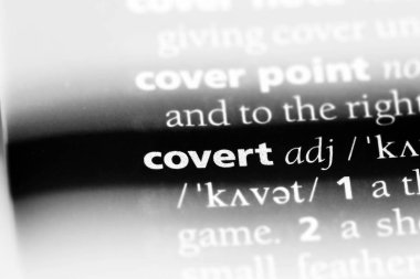 gizli kelime sözlüğe. gizli kavramı