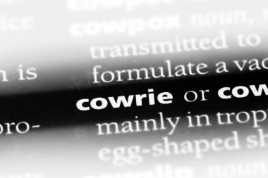 bir sözlüğü'ndeki deniz sözcüğü. deniz kavramı