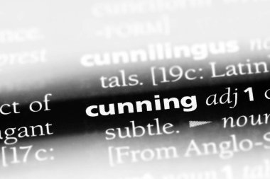 kurnaz tek kelimeyle bir sözlük. kurnaz kavramı