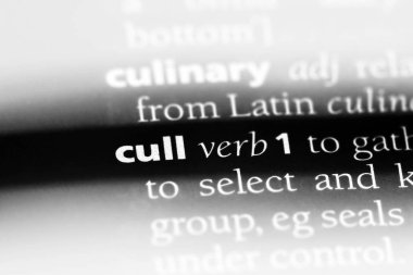 bir sözlüğü'ndeki sözcüğü itlaf. kavram itlaf