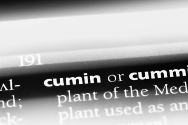 kimyon Word'de bir sözlük. kimyon kavramı