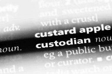 veli Word'de bir sözlük. veli kavramı