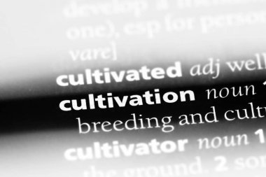 ekimi Word'de bir sözlük. ekimi kavramı