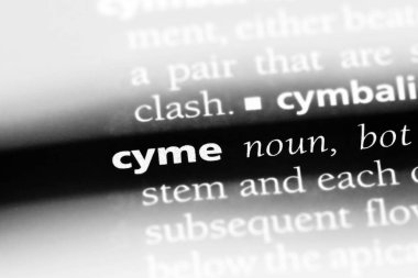 CYME sözcük sözlüğe. CYME kavramı