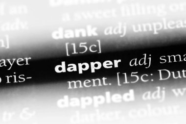 şık tek kelimeyle bir sözlük. şık konsept