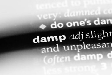 bir sözlüğü'ndeki nemli sözcüğü. nemli kavramı