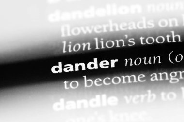 hiddet Word'de bir sözlük. hiddet kavramı