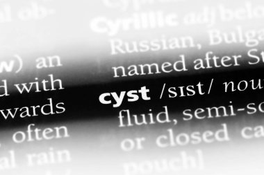 kist Word'de bir sözlük. kist kavramı