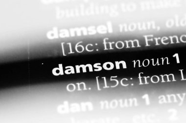bir sözlüğü'ndeki Damson sözcüğü. Damson kavramı
