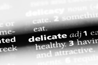 hassas tek kelimeyle bir sözlük. hassas kavramı