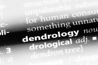 dendrology sözcük sözlüğe. dendrology kavramı