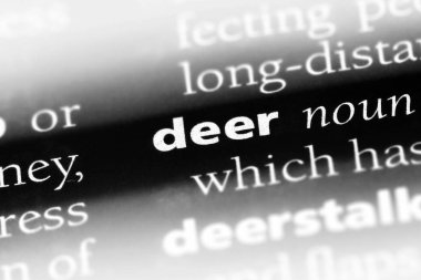 geyik Word'de bir sözlük. geyik kavramı