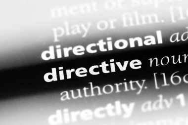 bir sözlüğü'ndeki yönergesi sözcüğü. yönerge kavramı