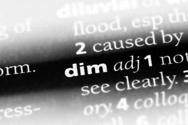 bir sözlüğü'ndeki sözcüğü dim. loş kavramı