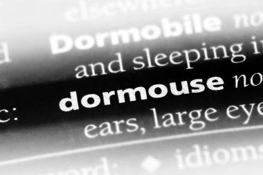 fındık faresi Word'de bir sözlük. fındık faresi kavramı