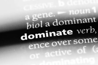 bir sözlüğü'ndeki sözcüğü hakim. kavram hakim