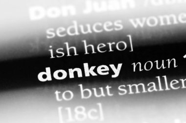 eşek Word'de bir sözlük. eşek kavramı