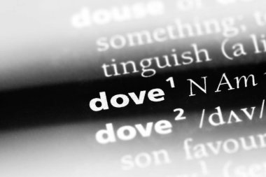 güvercin Word'de bir sözlük. güvercin kavramı