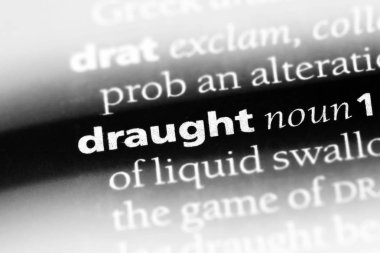 Fıçı tek kelimeyle bir sözlük. Fıçı kavramı