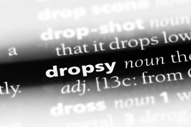 Lucius Word'de bir sözlük. Lucius kavramı