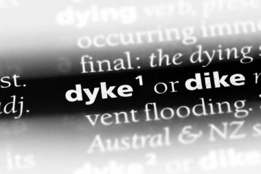 bir sözlüğü'ndeki lezbiyen sözcüğü. Lezbiyen kavramı