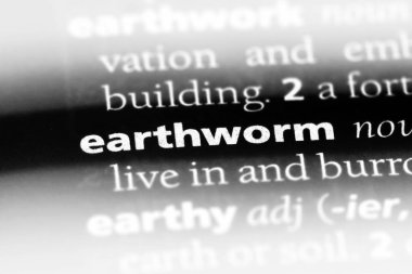 solucan Word'de bir sözlük. solucan kavramı